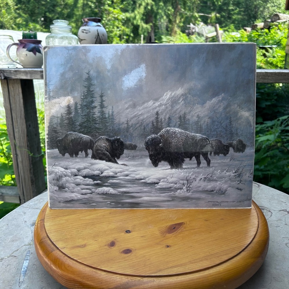 Vintage Colorado Buffalo Art Print Larry Fanning 11x14 Grey Western Leanin Tree